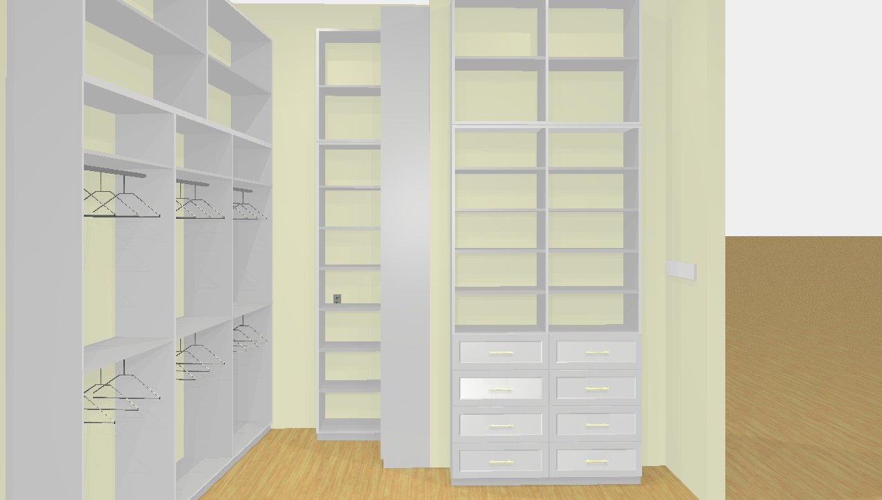 Carolina Erickson master walk-in — his side